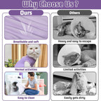 Cat using litter box while wearing recovery suit