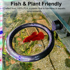Daelala magnetic food holder attached to fish tank glass wall close up
