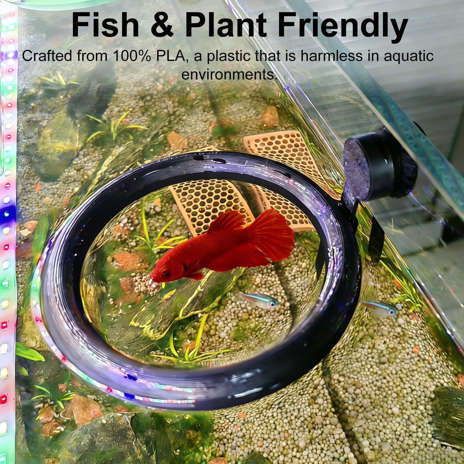 Daelala magnetic food holder attached to fish tank glass wall close up