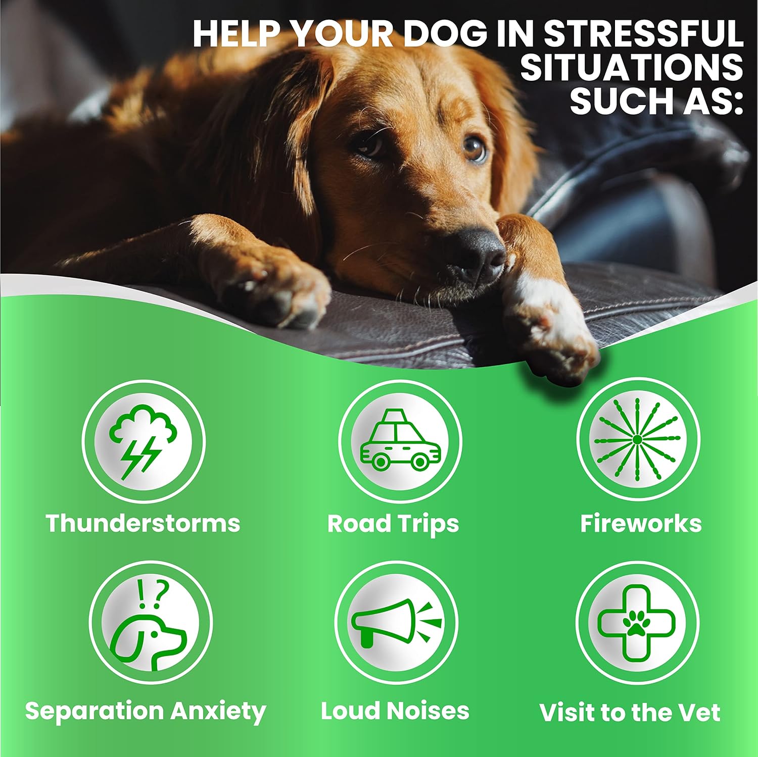 Close up of chicken flavored soft calming chews for dogs