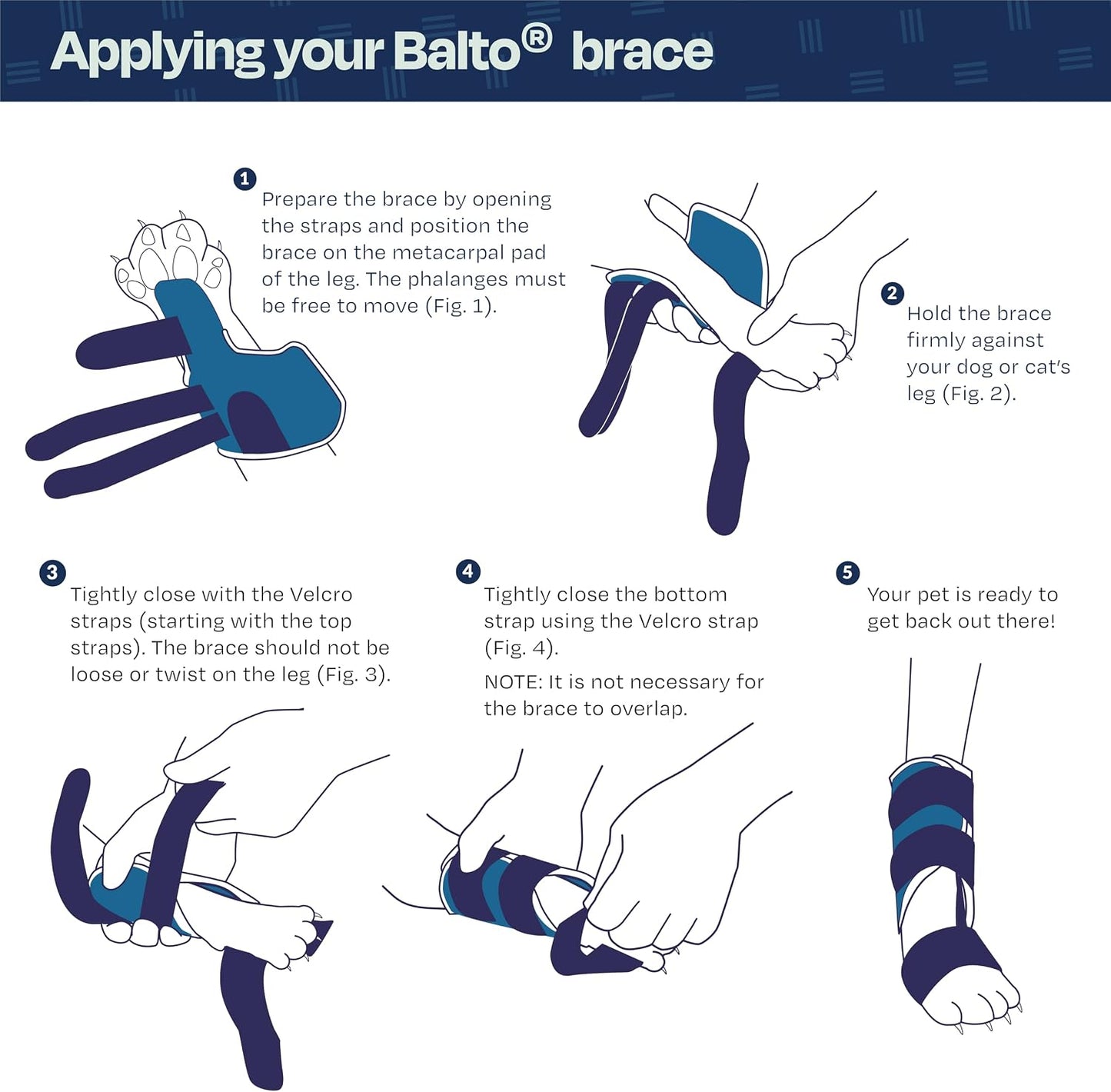 Side profile of Balto X-Small cat hyperextension brace