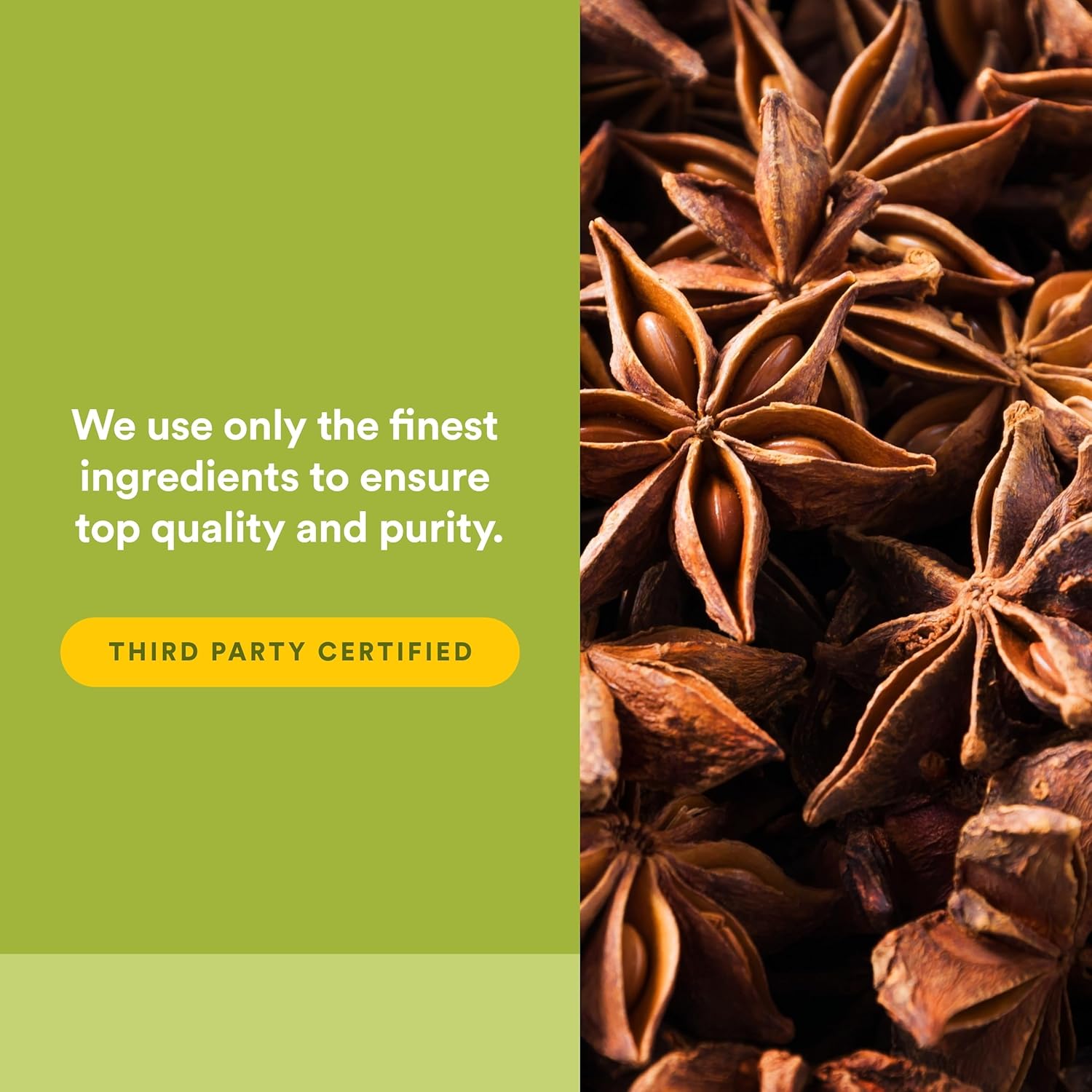 Close up view of the easy to chew licorice root extract digestive care tablets.