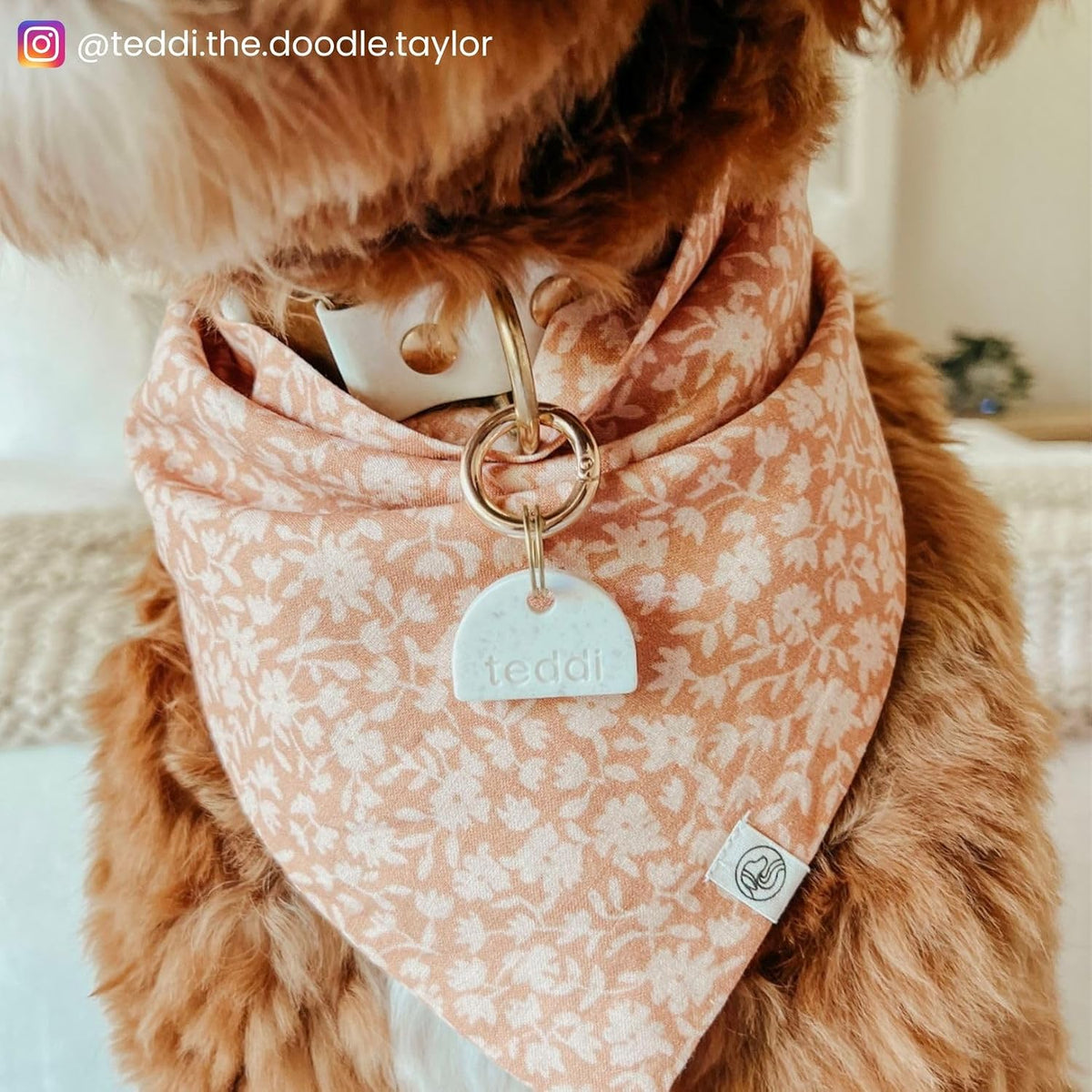 Onoma lightweight scratch resistant mineral composite pet collar charm.