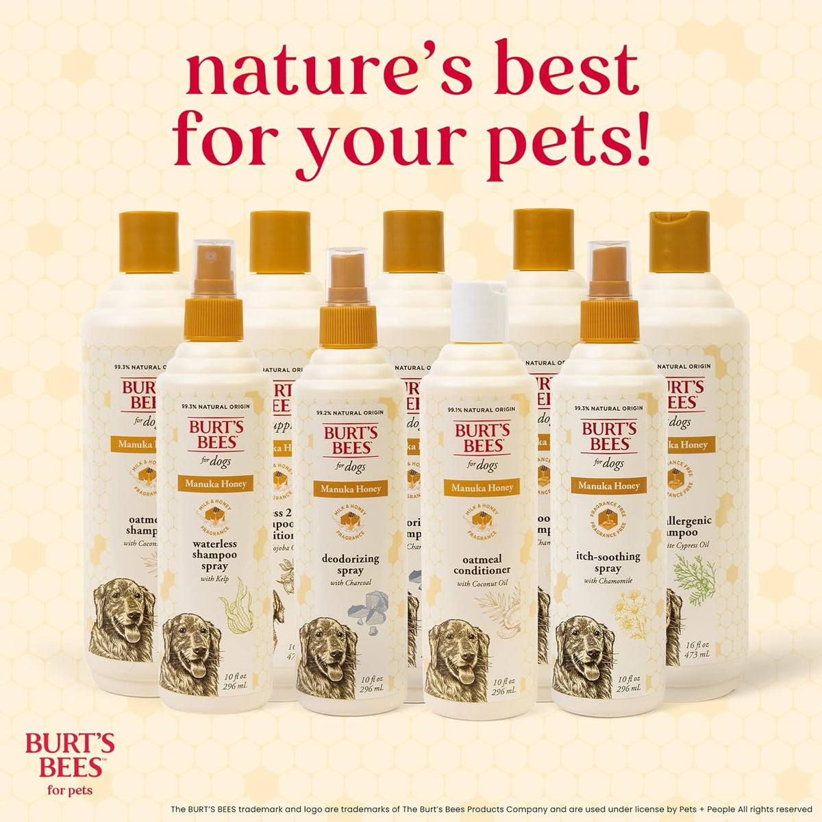 Burt's Bees for Pets Manuka Honey Oatmeal Conditioner for Dogs, Colloidal Oatmeal, 95%+ Natural Origin, No Sulfates, Parabens or Phthalates, Leaves Coat Soft & Shiny, Milk & Honey Scent, 10 Fl Oz - Image 11