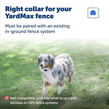 PetSafe containment system collar featuring waterproof plastic housing and indicator light