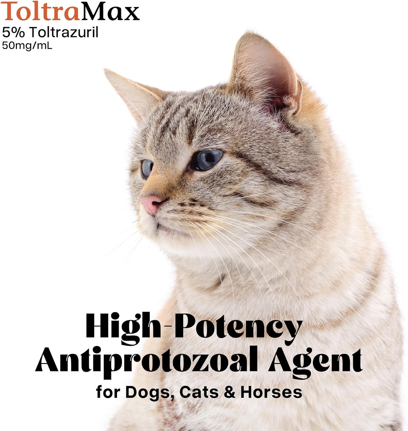 Toltramax 60mL container for professional pet health care