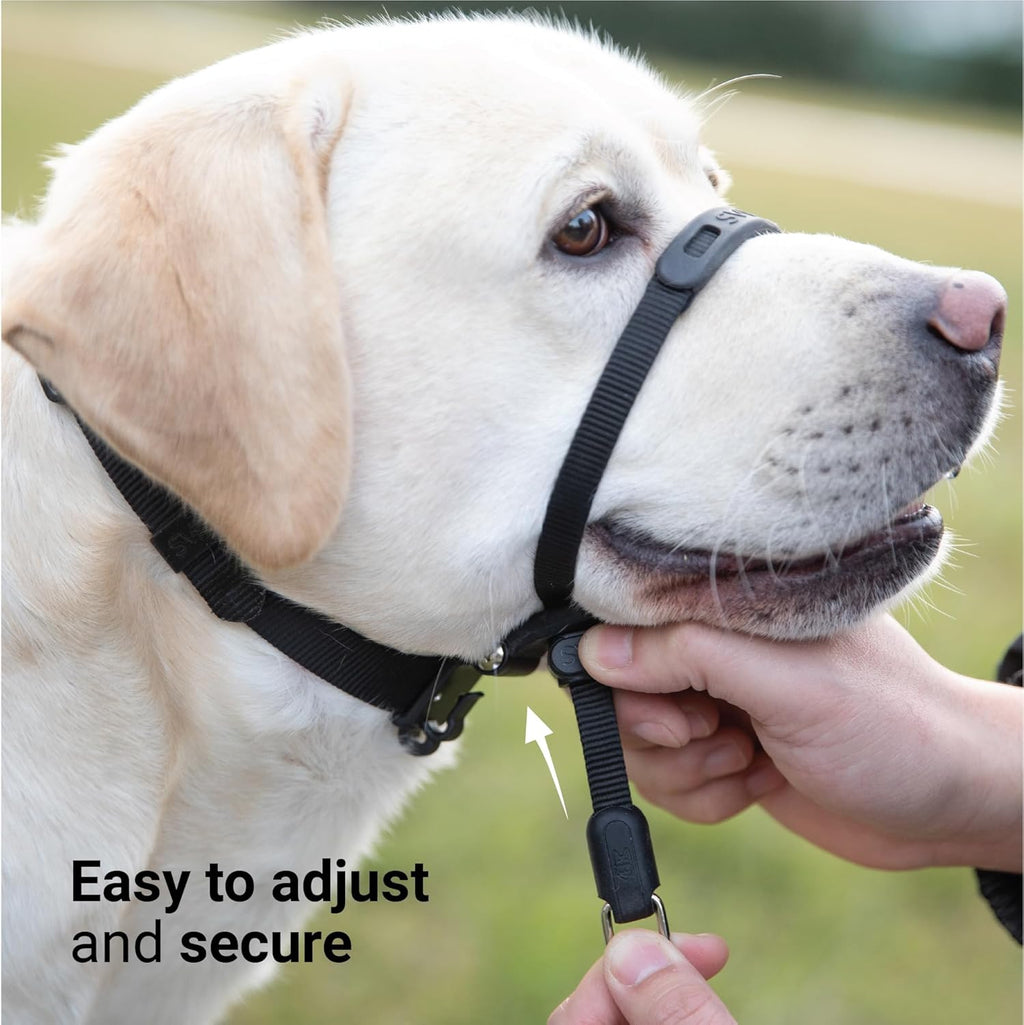 SVD.PET adjustable lock buckle mechanism close up