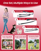 Hands free adjustable waist belt configuration with two dog leashes.