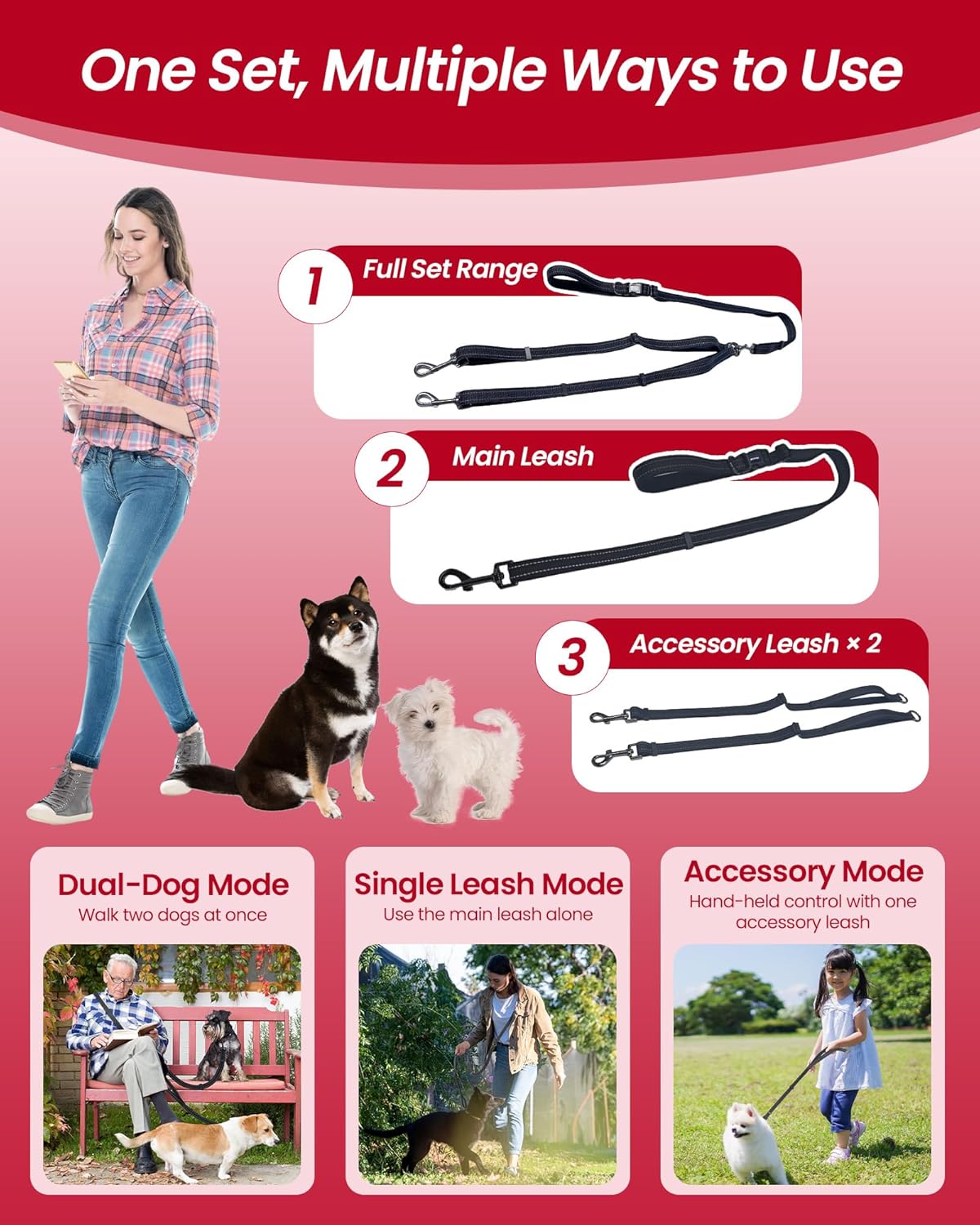 Hands free adjustable waist belt configuration with two dog leashes.