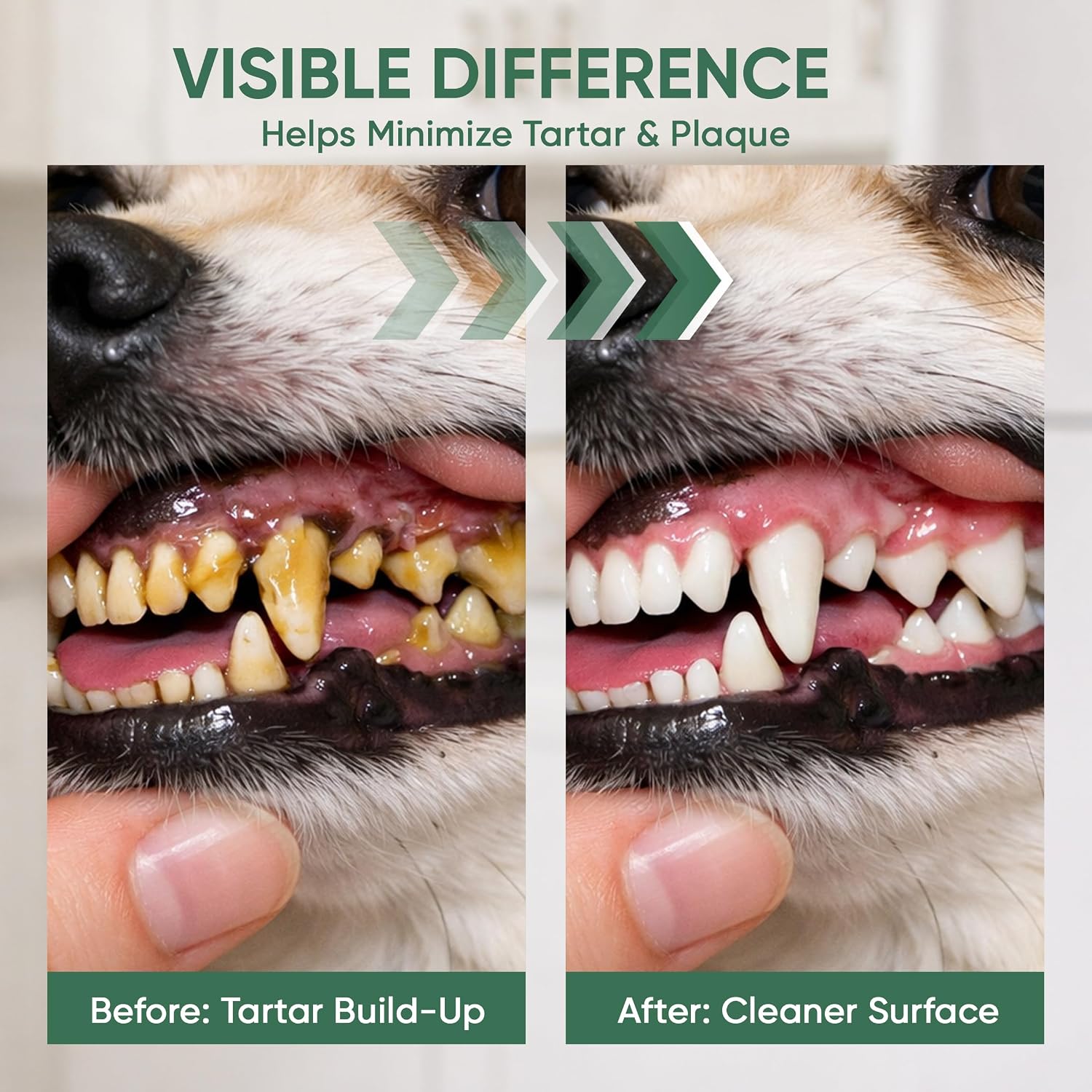 Enzymatic tartar remover for dogs close up view