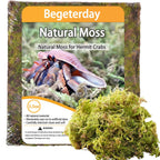 Begeterday natural moss for hermit crabs front view substrate