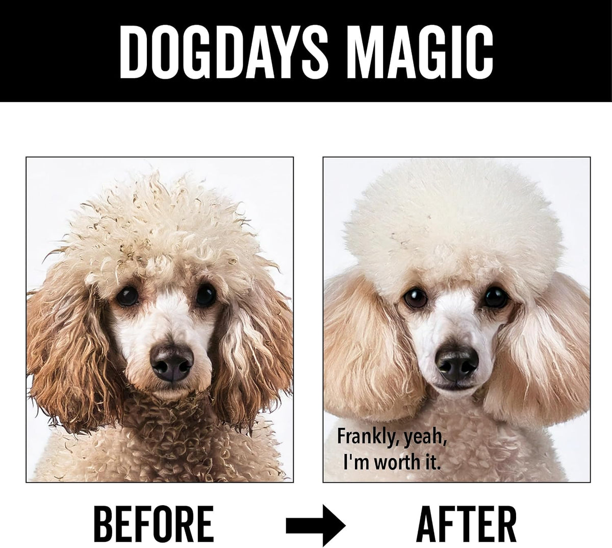 Hypoallergenic dog shampoo with marshmallow root and calendula oil ingredients