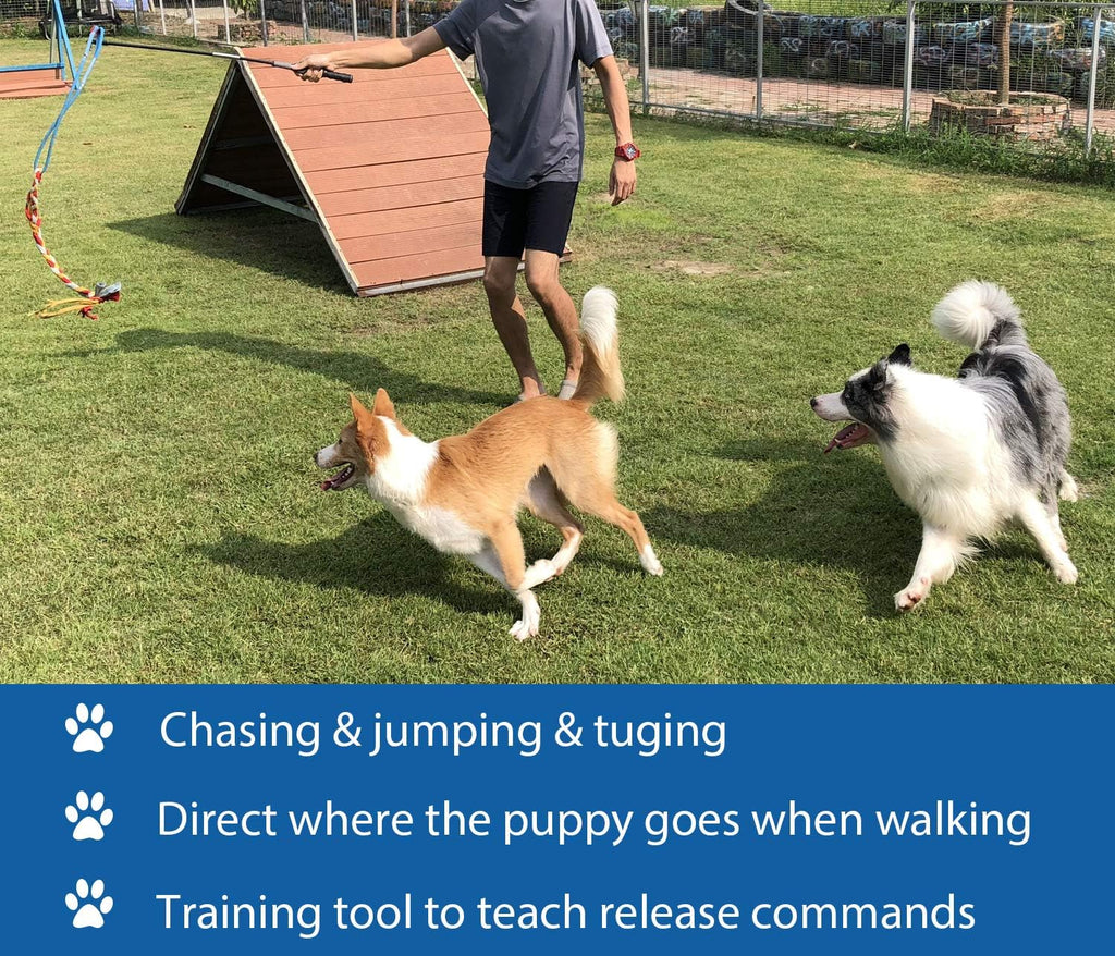Durable non-bungee nylon cord attachment on the Dewonch dog chase toy