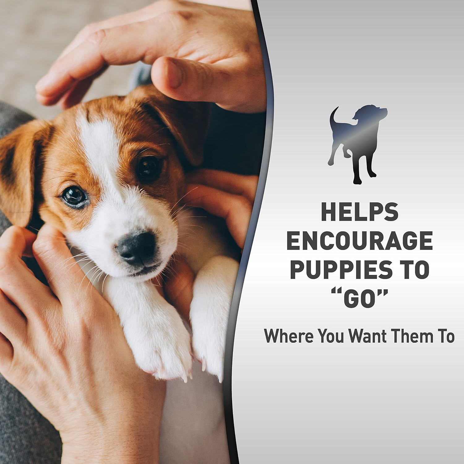 Puppy training spray bottle showing 8 ounce size