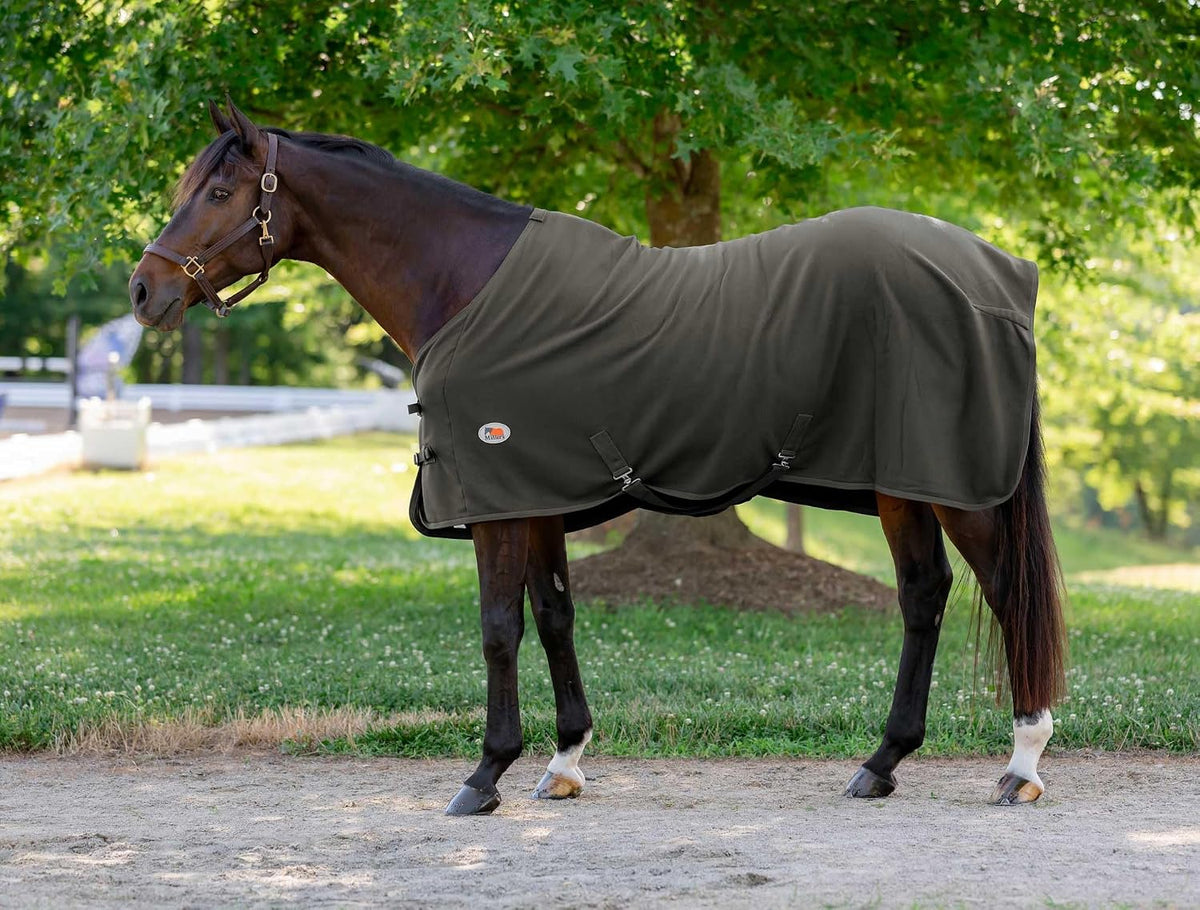 Powder blue horse sweat sheet illustrating the durable stitching design.