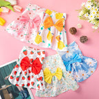 Saintrygo cat princess outfit with pale blue daisy pattern