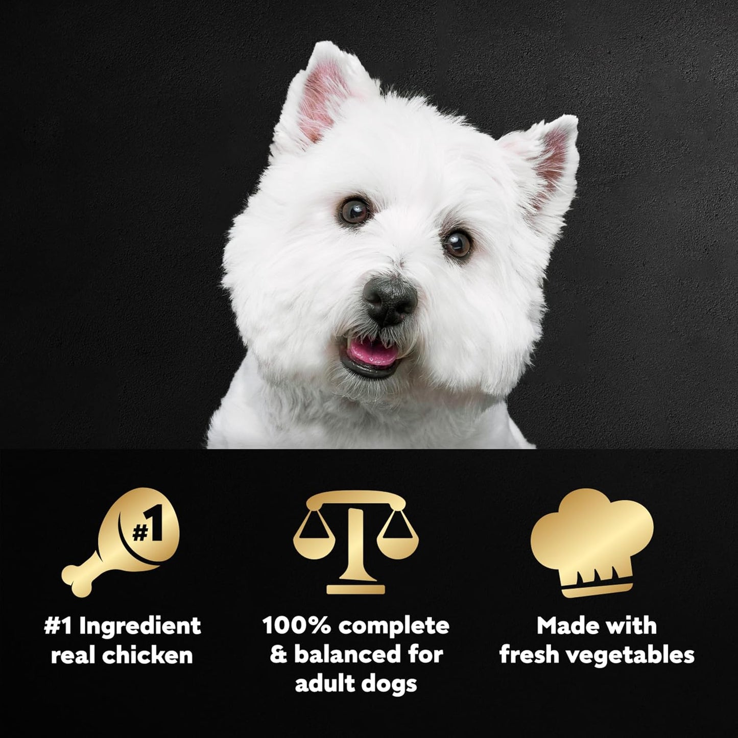 Cesar premium wet dog food pouch featuring real chicken and fresh vegetables