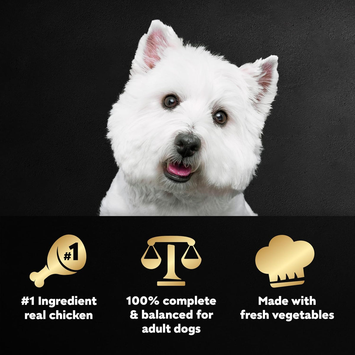 Cesar premium wet dog food pouch featuring real chicken and fresh vegetables