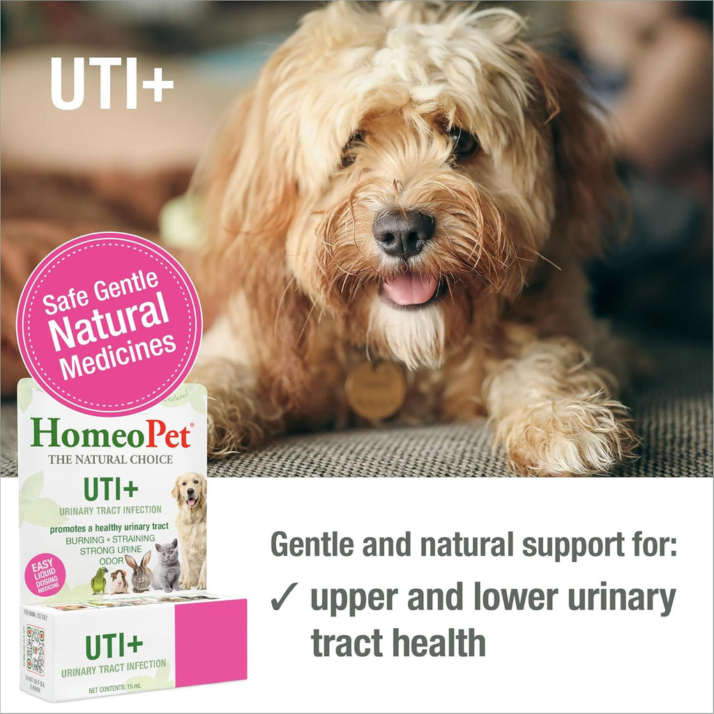 HomeoPet UTI+ natural pet urinary health support bottle