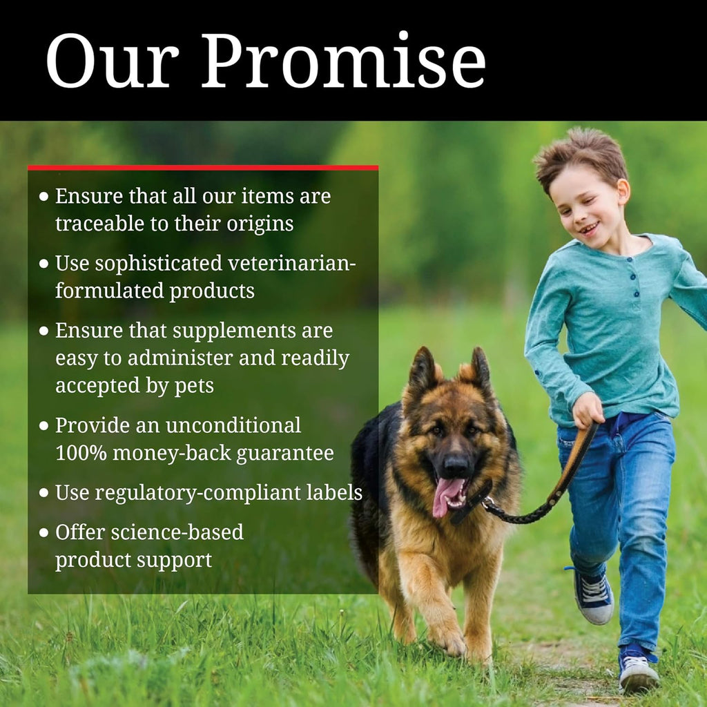 Veterinarian recommended anti-chew wrap for pets