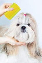 Compact and ergonomic Pets First pet grooming lice comb