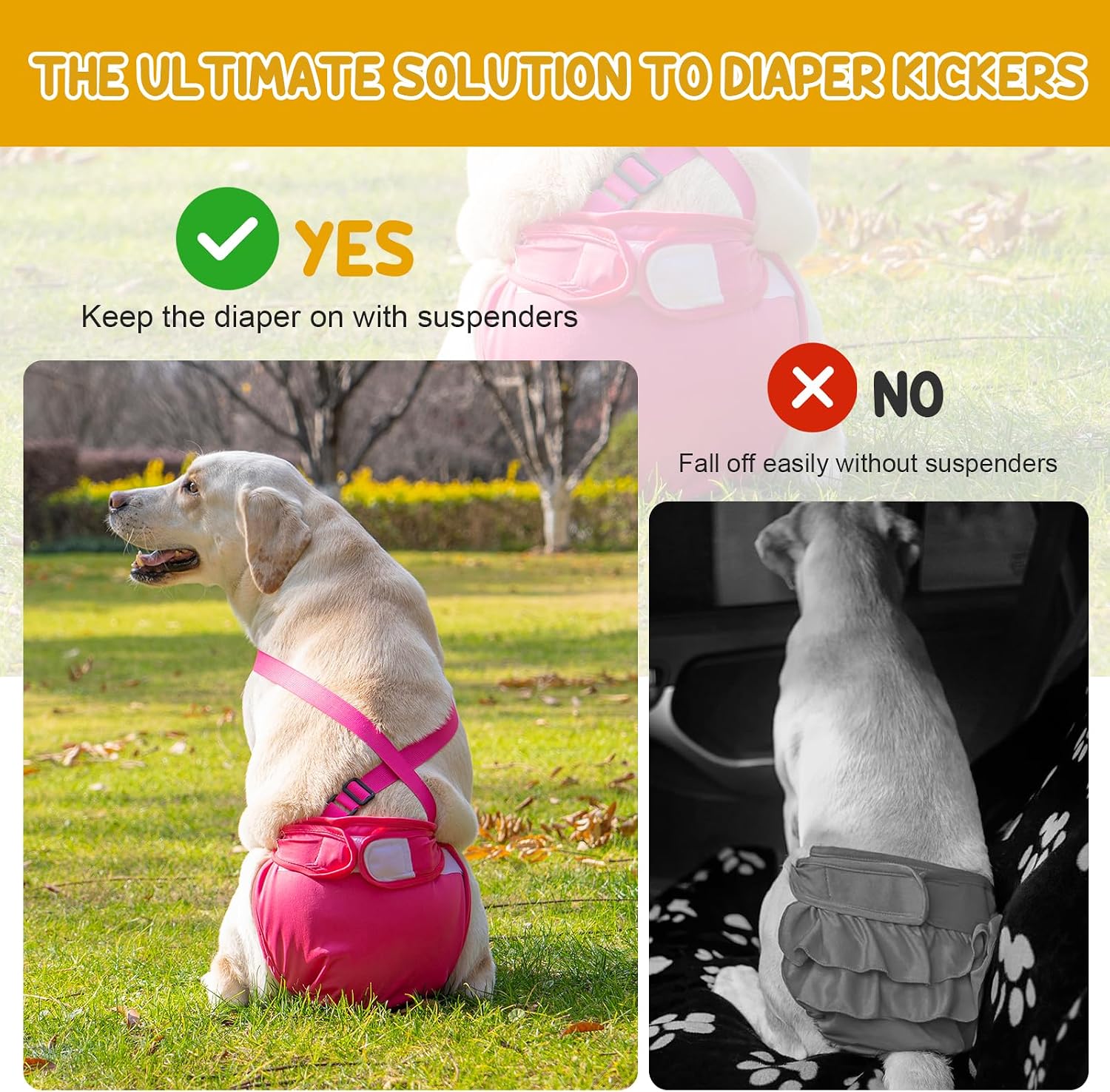 Avont reusable dog nappies in black magenta and purple colors