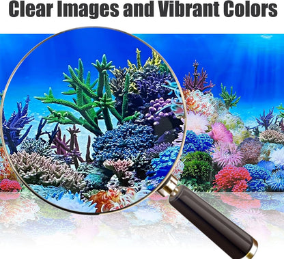 XCNO vinyl aquarium backdrop installed behind a clear fish tank hiding equipment