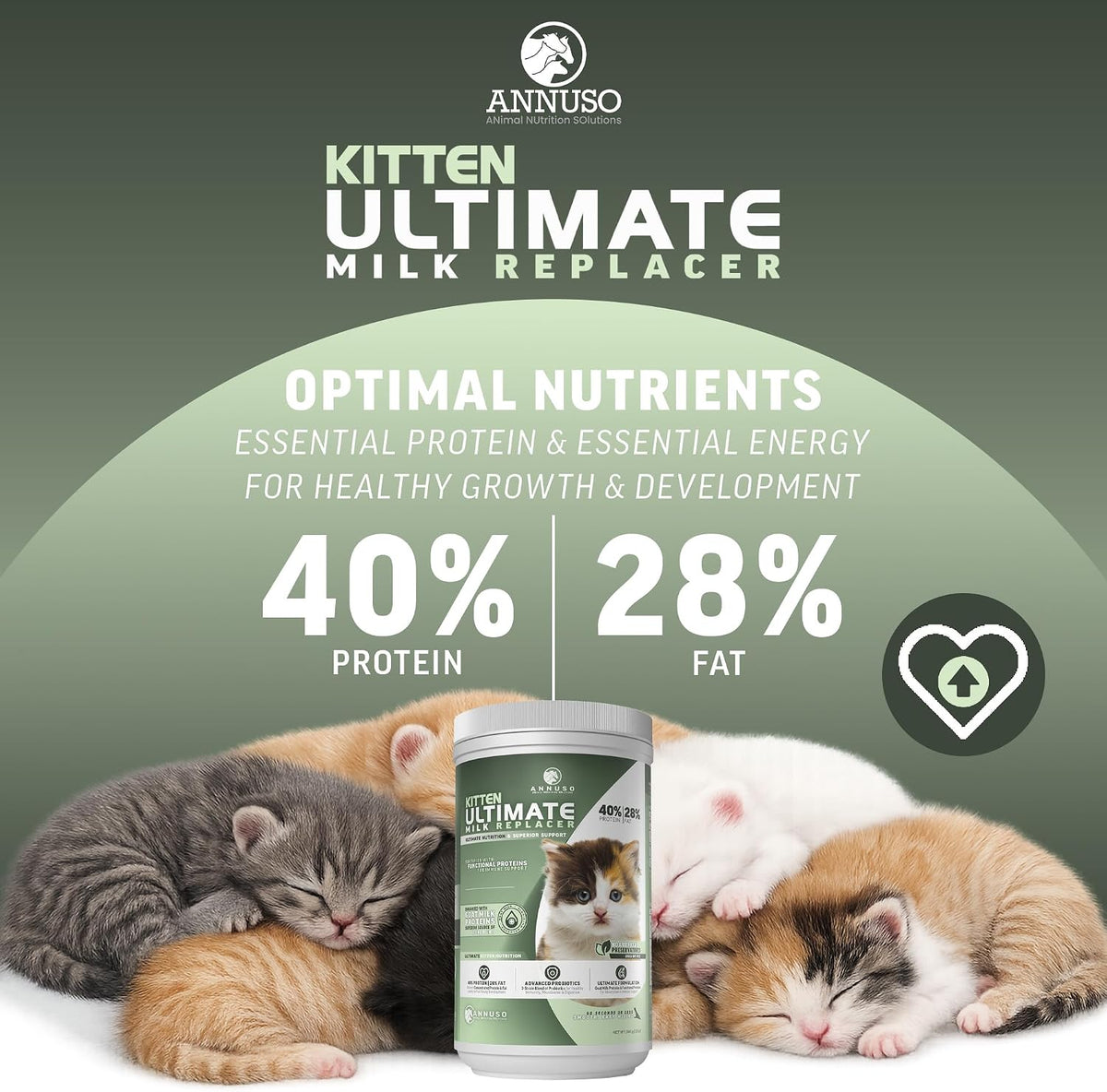 Side view of ANNUSO kitten ultimate formula highlighting advanced probiotics for gut health.