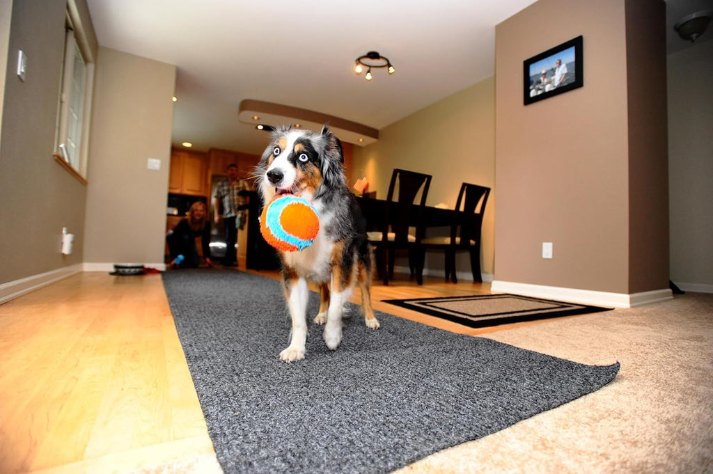 Chuckit! indoor fetch ball on hardwood floor