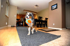 Chuckit! indoor fetch ball on hardwood floor