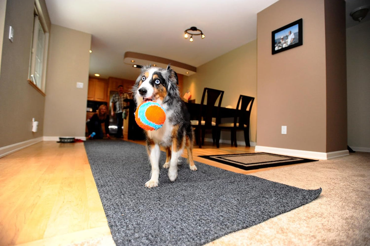 Chuckit! indoor fetch ball on hardwood floor