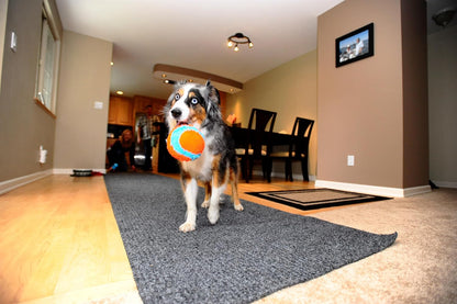 Chuckit! indoor fetch ball on hardwood floor
