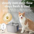 Veken Innovation Award Winner Stainless Steel Cat Water Fountain, 108oz, C1 - Image 6