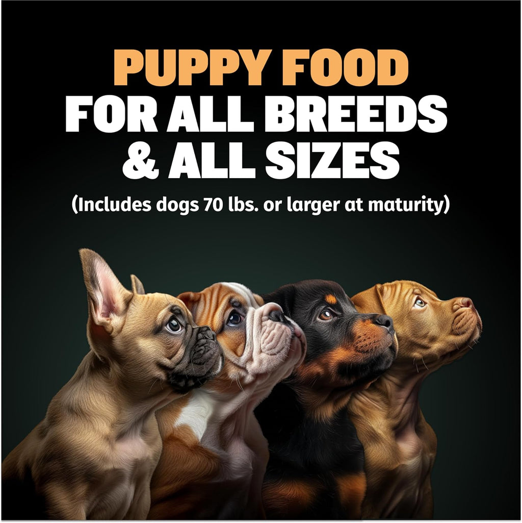 Dehydrated puppy food mixed with water in a bowl