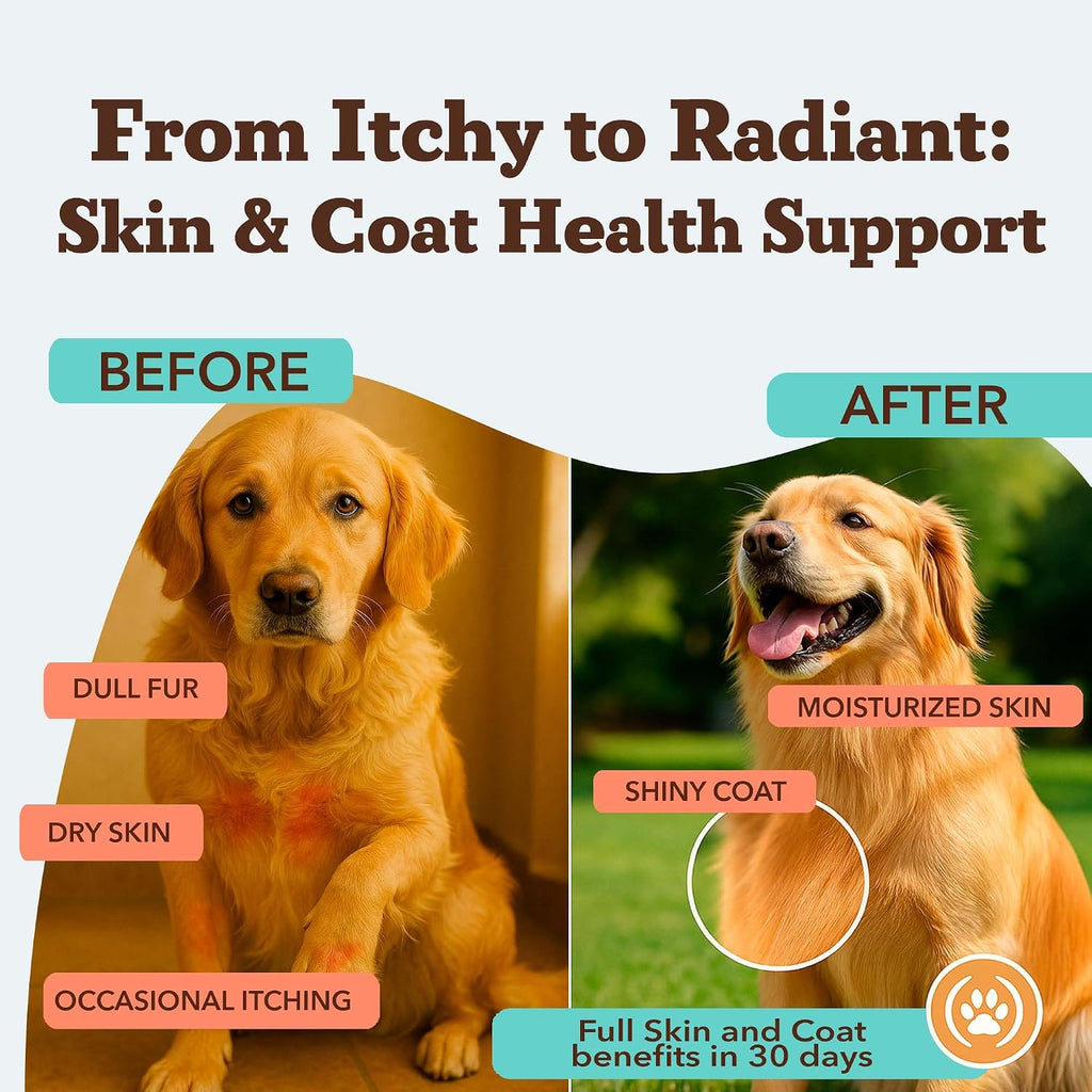 Natural Dog Company omega chews packaging showing National Animal Supplement Council seal
