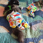 Detailed view of Velcro straps on Pranovo cat surgery alternative sleeve