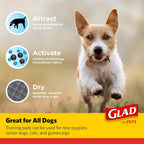 Glad For Pets disposable pet training mats placed flat on the floor demonstrating the 23 by 23 inch size.