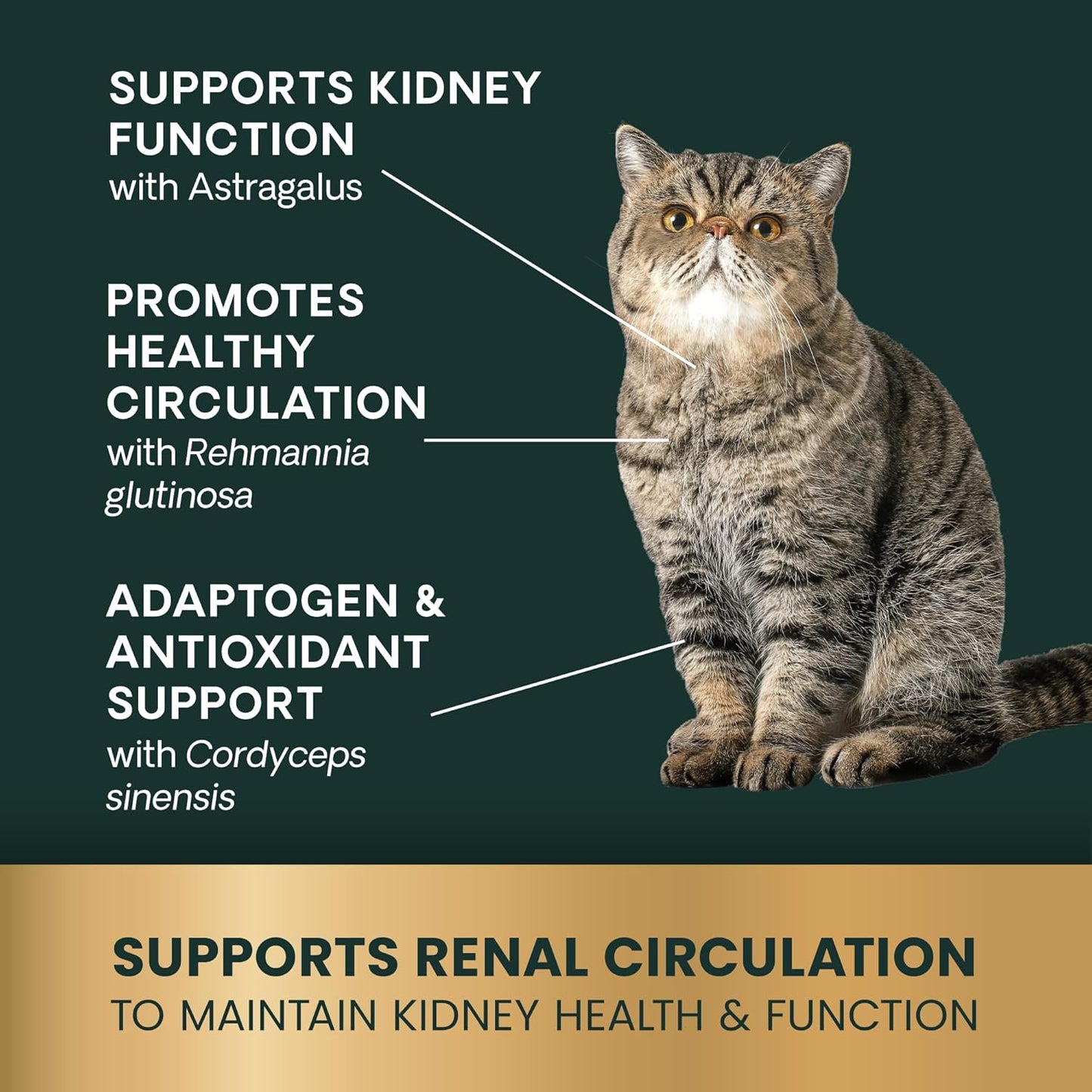 VetriScience Kidney Health Chews, Renal Essentials Supplement for Cats, Kidney Care and Support with Mushroom, Astragalus Root, Nettle Seed and Herbs, Chicken, 120 Count - Image 6