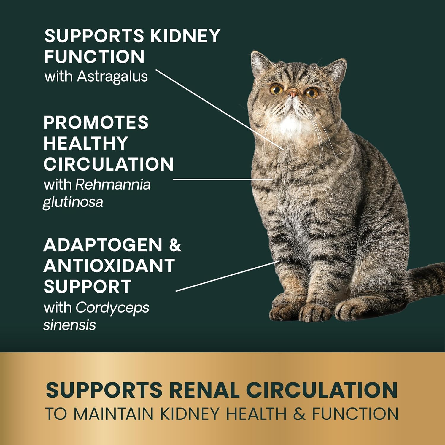 VetriScience Kidney Health Chews, Renal Essentials Supplement for Cats, Kidney Care and Support with Mushroom, Astragalus Root, Nettle Seed and Herbs, Chicken, 120 Count - Image 6