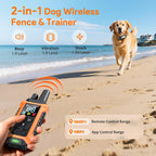 Meowant wireless training collar on a dog outdoors.