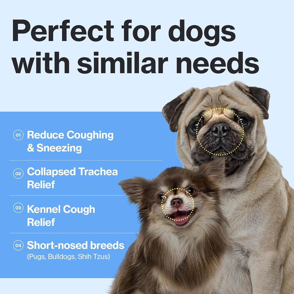 Doctor By canine cough relief gel for wet and dry pet coughs