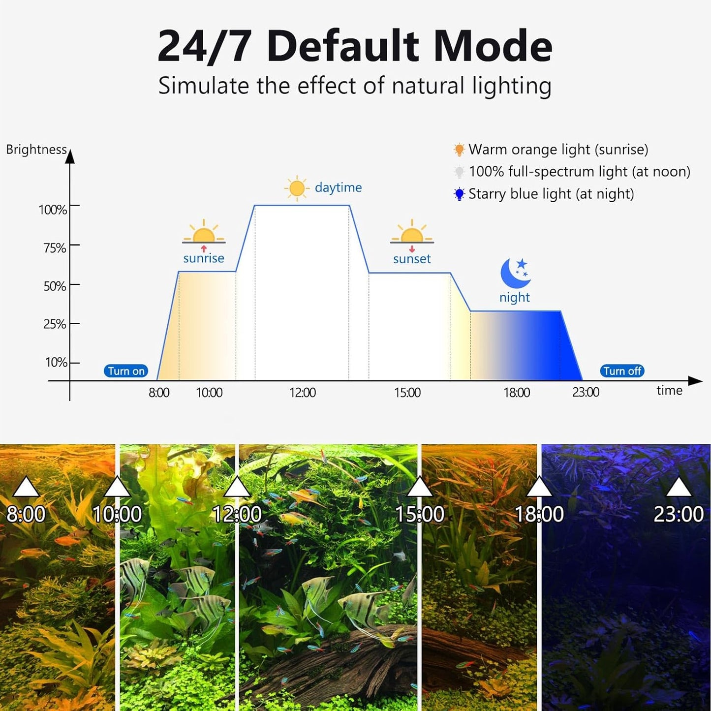 Automated aquarium light timer controller interface displaying cycle options.