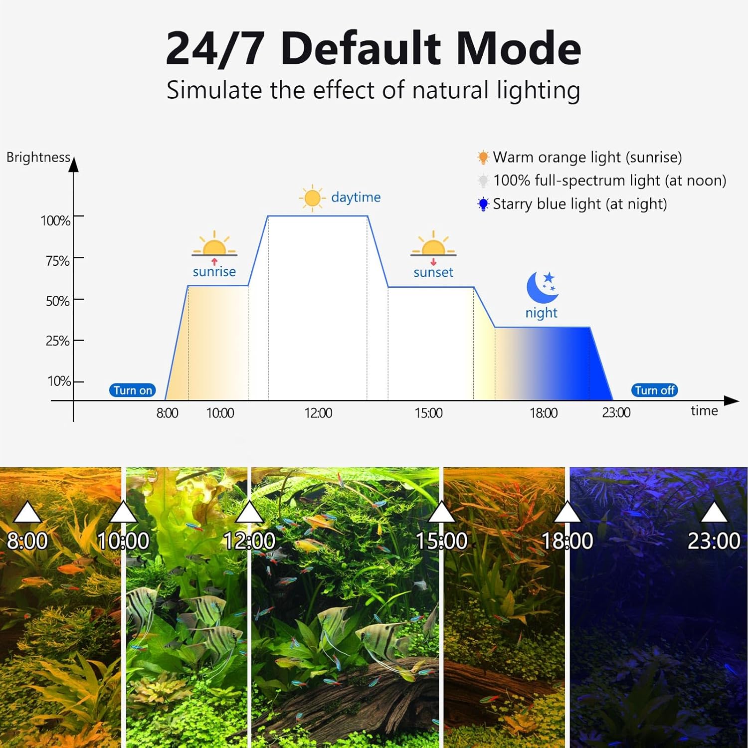 Automated aquarium light timer controller interface displaying cycle options.
