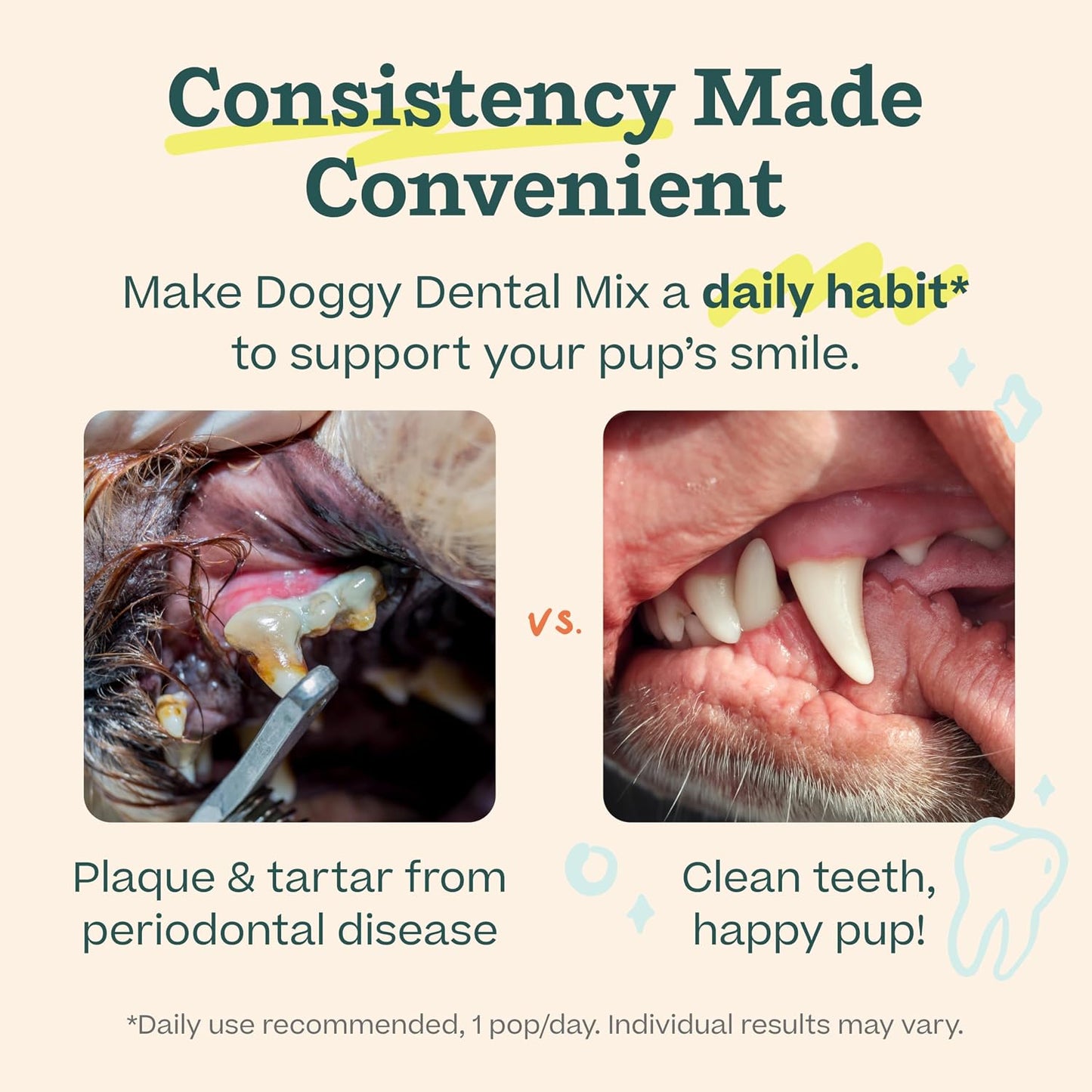 Comparison of clean dog teeth after regular use of postbiotic enzyme powder