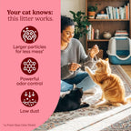 Fresh Step Advanced Clean Paws Multi Cat Clumping Litter with Febreze Freshness, Low Tracking, 18.5 lb. Box, Pack of 2 - Image 9