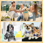 Cosblank pet grooming accessories showing unique variety of plaid designs