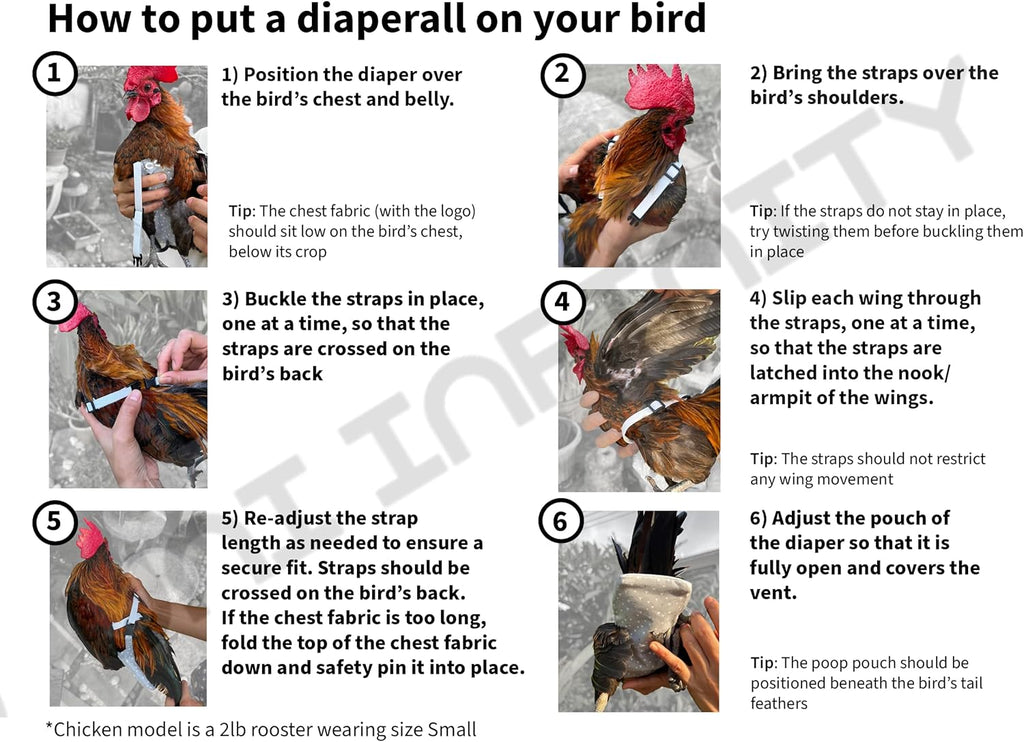 Chicken Diapers V1 Duck Diaper Diaperalls for Hens, Roosters, Ducks, Ducklings - Reusable, Adjustable by Uni Infinity (Red Black Plaid, Chicken Large, 1, Count) - Image 9