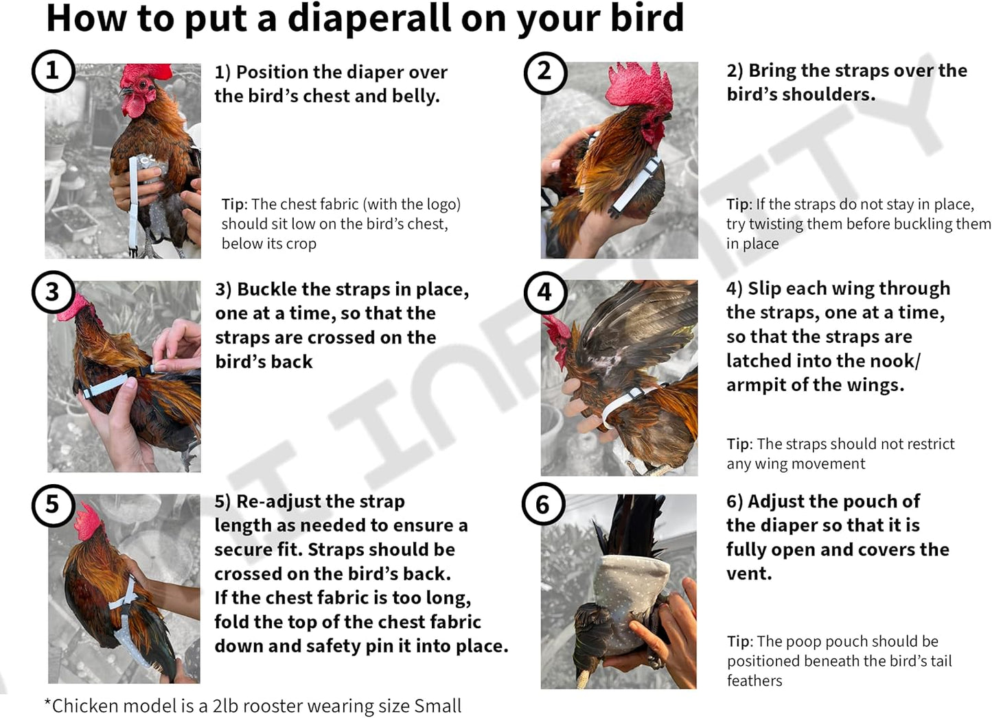 Chicken Diapers V1 Duck Diaper Diaperalls for Hens, Roosters, Ducks, Ducklings - Reusable, Adjustable by Uni Infinity (Red Black Plaid, Chicken Large, 1, Count) - Image 9