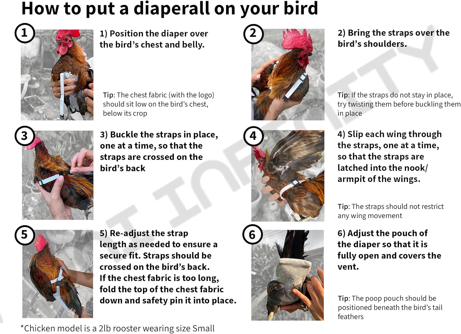 Chicken Diapers V1 Duck Diaper Diaperalls for Hens, Roosters, Ducks, Ducklings - Reusable, Adjustable by Uni Infinity (Red Black Plaid, Chicken Large, 1, Count) - Image 9