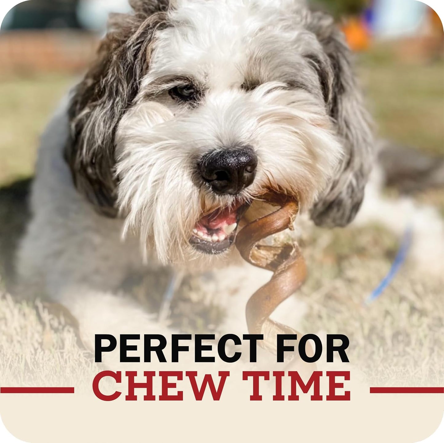 Redbarn premium digestible dog dental care treat pack details